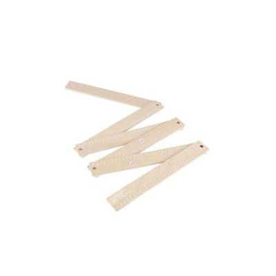 Eco Friendly Ruler  See how I grow 