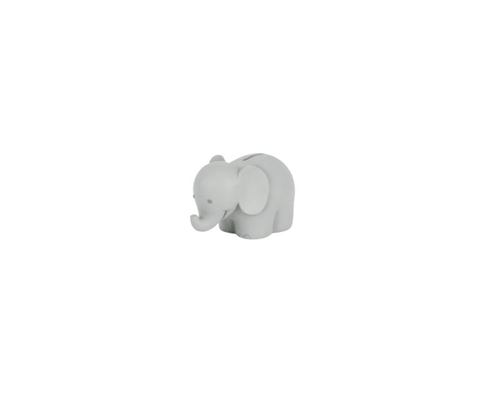 Elephant Moneybank in Giftbox