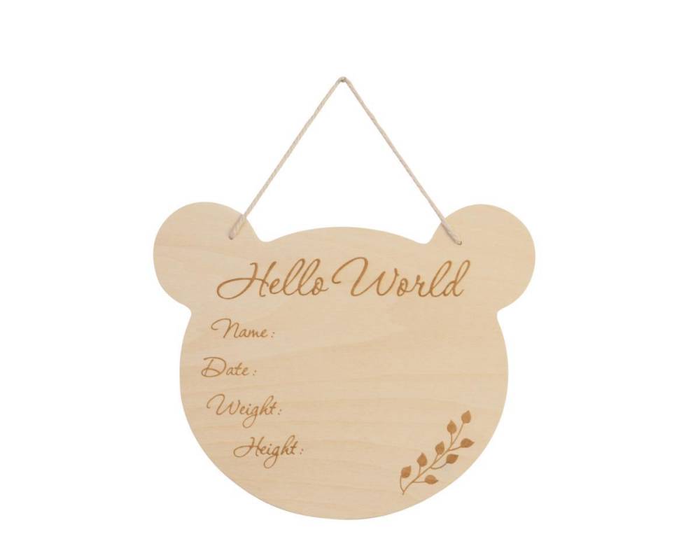 Eco Friendly Bear Wall Hanger